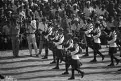 انقر للحصول على حجم اكبر